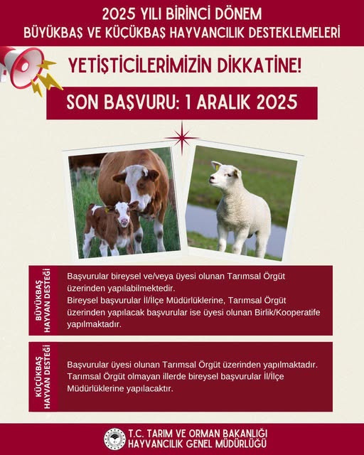 Manyas'ta 2025 Yılı Hayvancılık Destekleri İçin Son Başvuru Tarihi Açıklandı