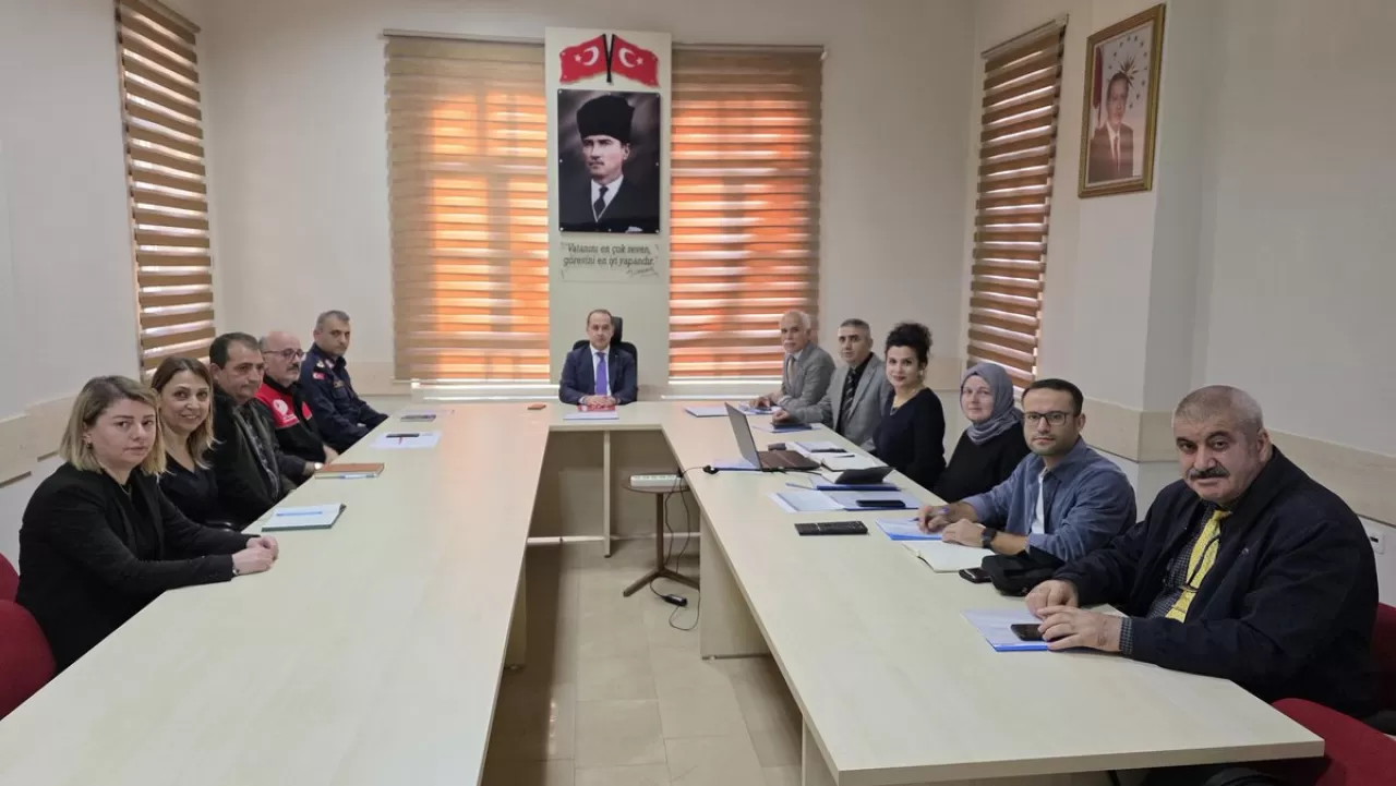 Bandırma'da Sokak Hayvanları İçin Güvenli Yaşam Alanları Değerlendirmesi