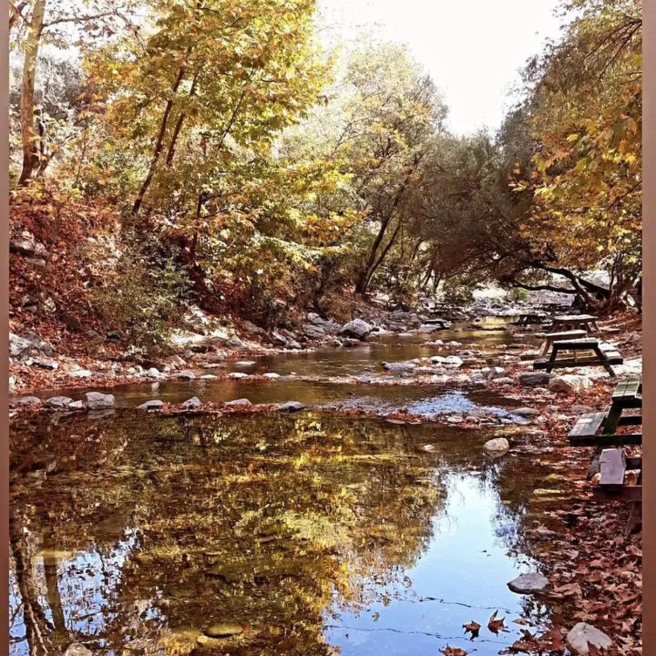 Edremit Belediyesi'nden 