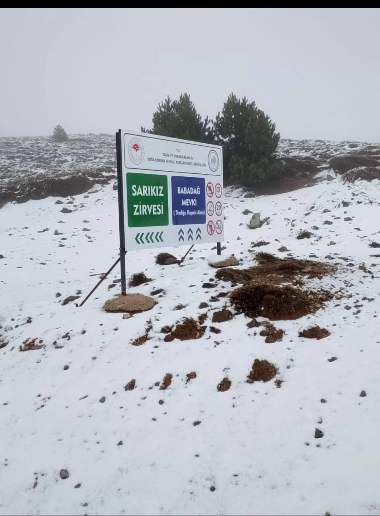 Edremit'te Heyecanlandıran Haber: Kazdağları'na İlk Kar Düştü