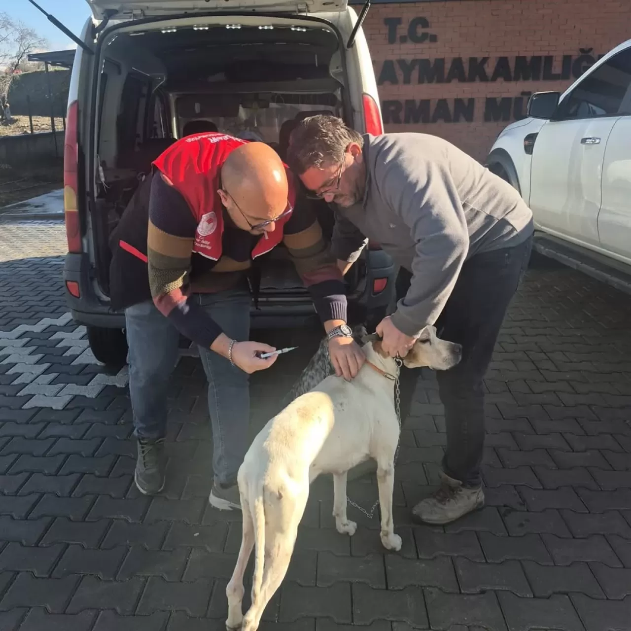 Havran'da Kedi ve Köpekler İçin Dijital Kimliklendirme Zorunluluğu