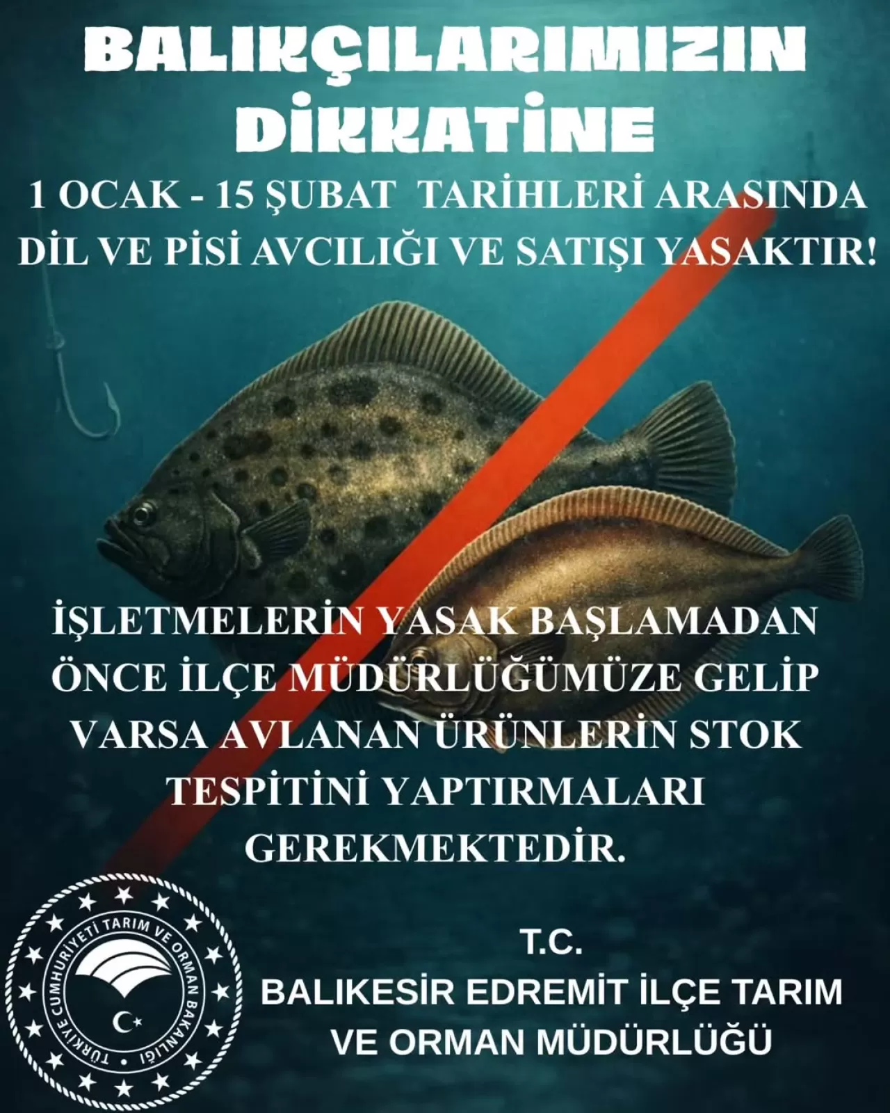 Edremit'te Dil ve Pisi Balığı Av Yasağı Başlıyor