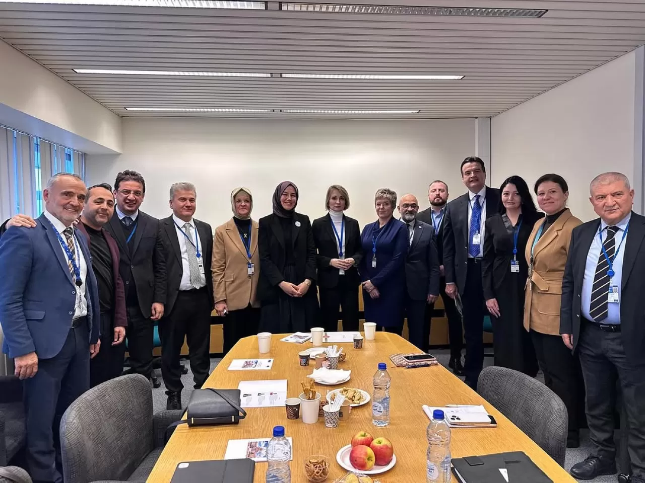 Türk ve Sırp Parlamenterlerden Strazburg'da İş Birliği Mesajı