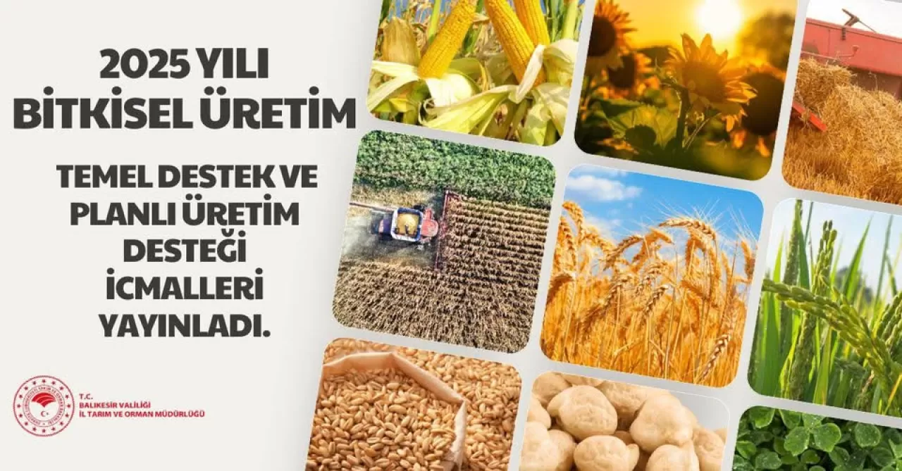 2025 Yılı Bitkisel Üretim Destekleri İcmalleri Açıklandı