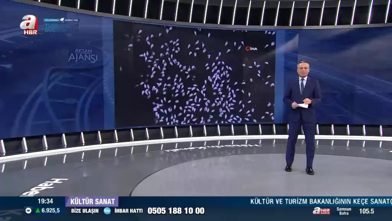 Manyas Kuş Cenneti: Avrupa'nın En İyi Korunan Doğa Alanı