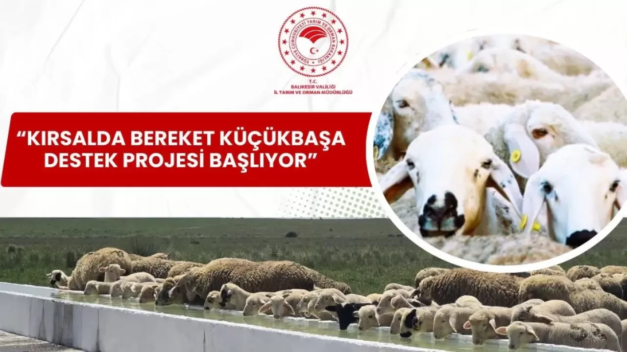 Küçükbaş Hayvancılıkta Destek Projesi 2026'da Başlıyor