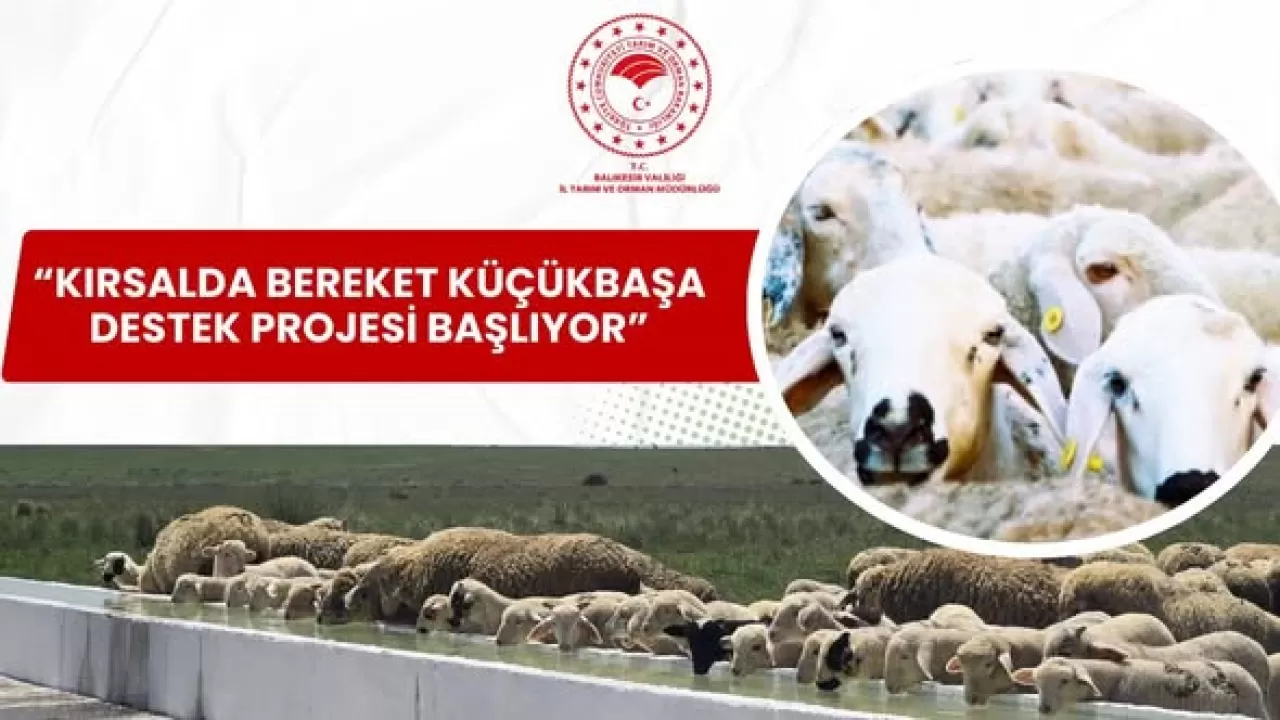 Altıeylül'de Küçükbaş Hayvancılık Destek Projesi Hayata Geçiyor