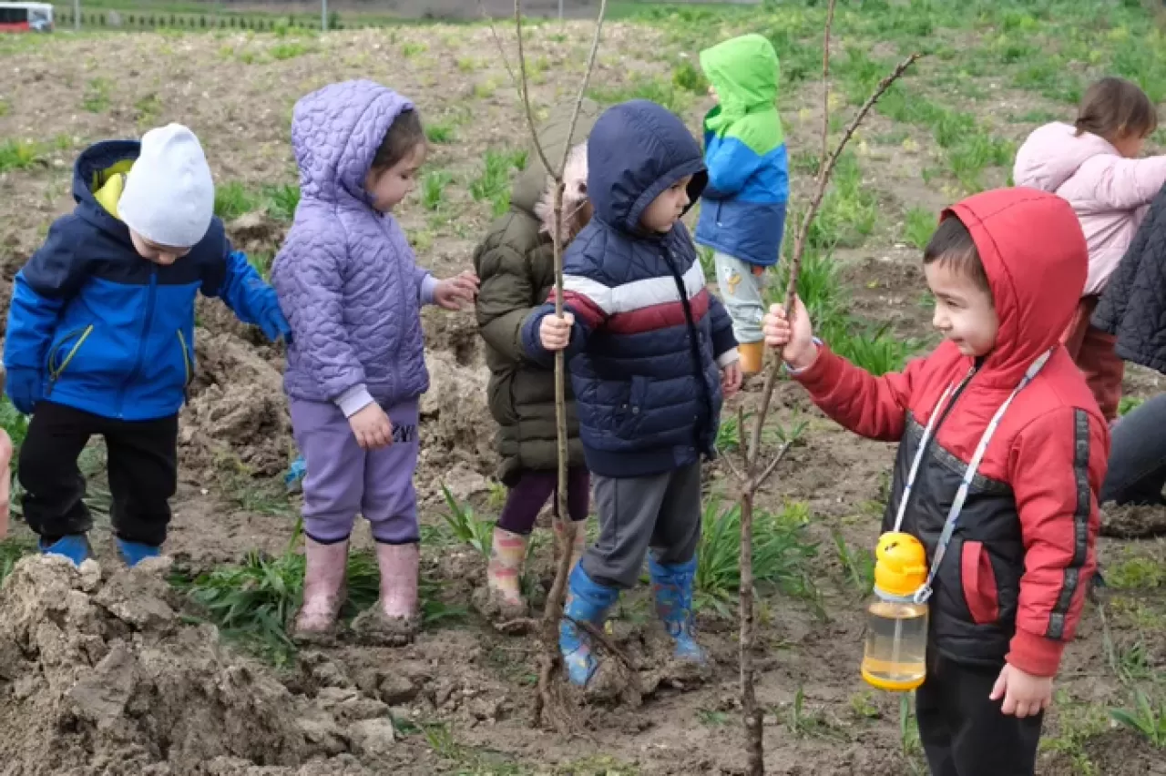 Minik Eller Balıkesir Üniversitesi Kampüsünü Yeşillendirdi