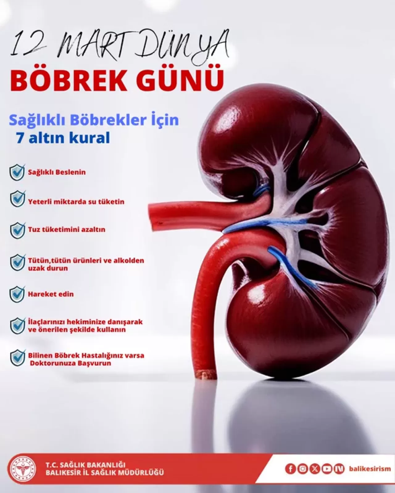 Balıkesir'de Dünya Böbrek Günü Etkinlikleri Düzenlendi