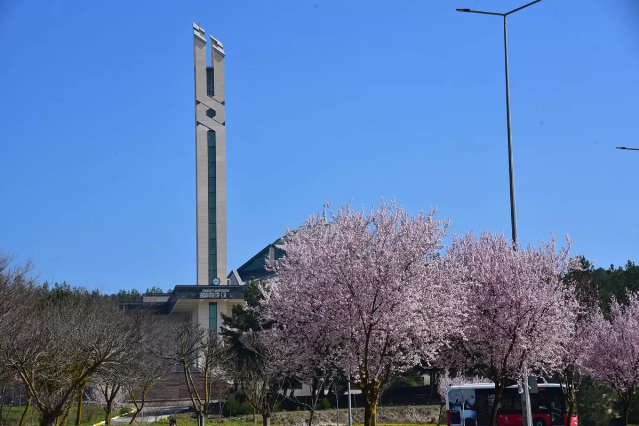 Balıkesir Üniversitesi Kampüsünden Haftalık Kareler