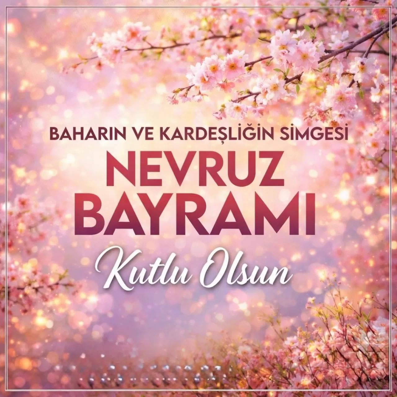 CHP'li Sarı'dan Nevruz Mesajı: 