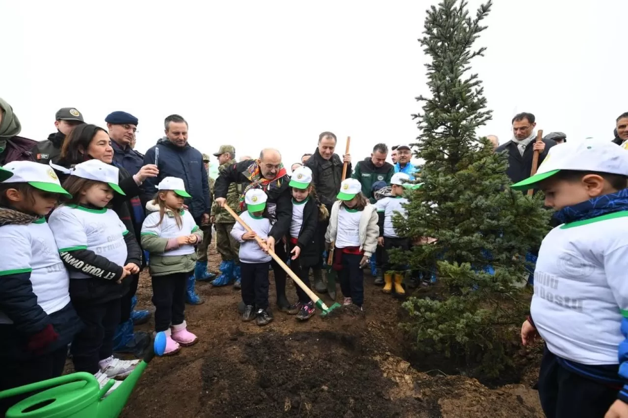 Balıkesir Valisi Ustaoğlu, Dünya Ormancılık Günü ve Nevruz'da Fidanları Toprakla Buluşturdu