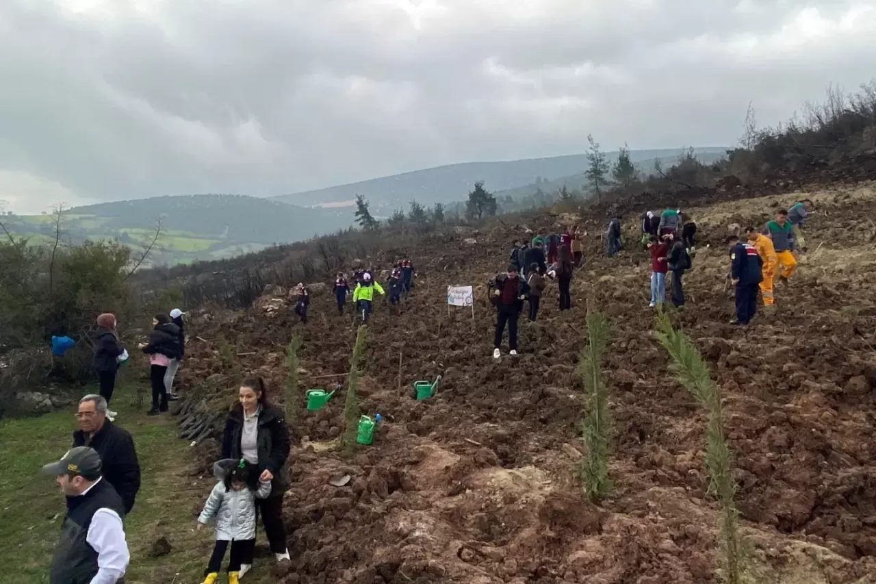 Kepsut'ta Geleceğe Nefes: Dünya Ormancılık Günü'nde Yüzlerce Fidan Toprakla Buluştu