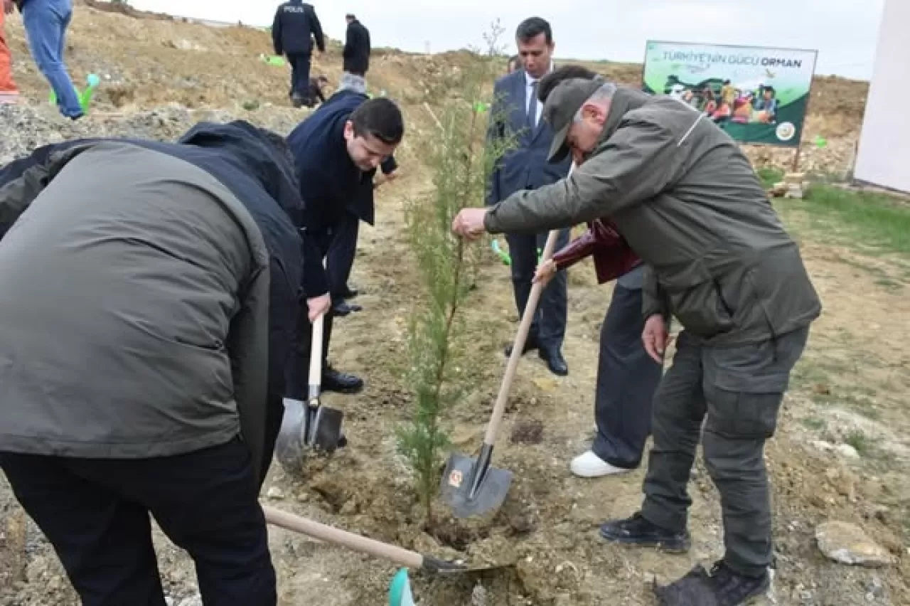İvrindi'de Orman Haftası Coşkusu: Kaymakam ve Öğrenciler Fidan Dikti