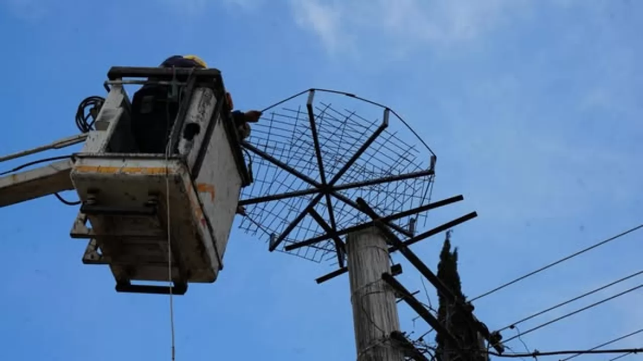 Sındırgı'da Yaşlılara Ev Temizliği, Leylekler İçin Güvenli Yuva