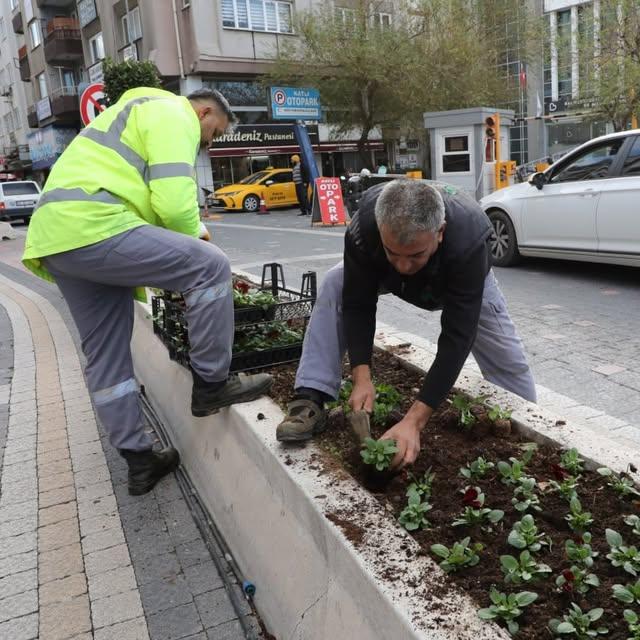 Edremit Meydanları ve Parkları Mevsimlik Çiçeklerle Renklendi