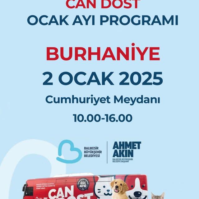 Burhaniye'de Sokak Hayvanları İçin Ücretsiz Sağlık Hizmeti