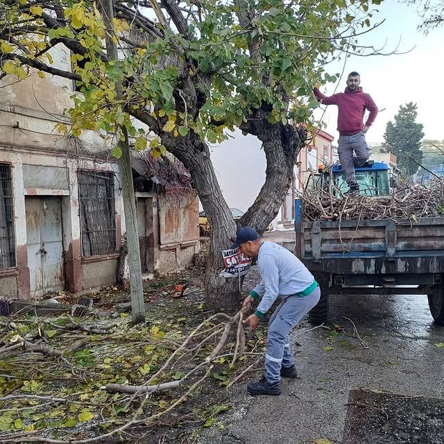 Ayvalık'ta Park ve Bahçeler Tüm Yıl Boyunca Yenileniyor