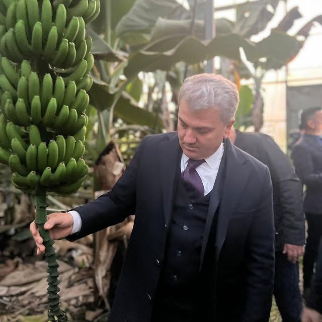 Balıkesir'de Katma Değeri Yüksek Tarım: Muz Serası Ziyareti