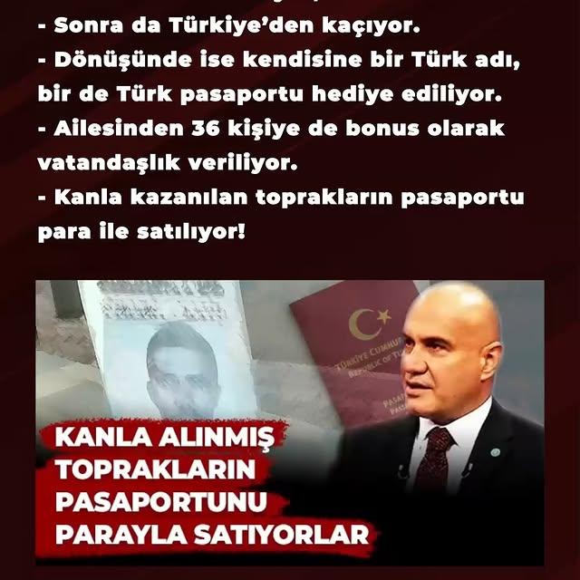 Şok İddia: Ölümle Sonuçlanan Trafik Kazasının Ardından Türk Pasaportu Verildi