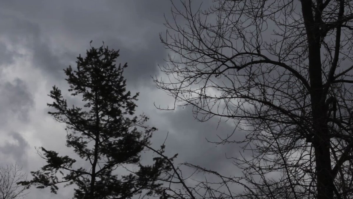 Edremit'te Bugün Hava Neşeli: Ara Ara Güneşli