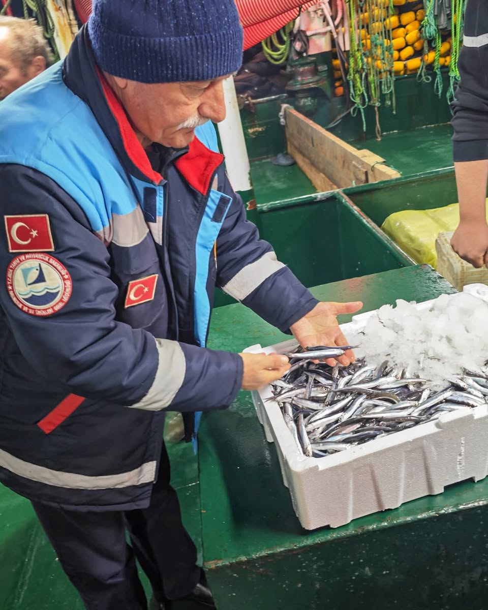 Ayvalık’ta Sıkı Denetim: Su Ürünleri Kontrol Görevlileri Görev Başında