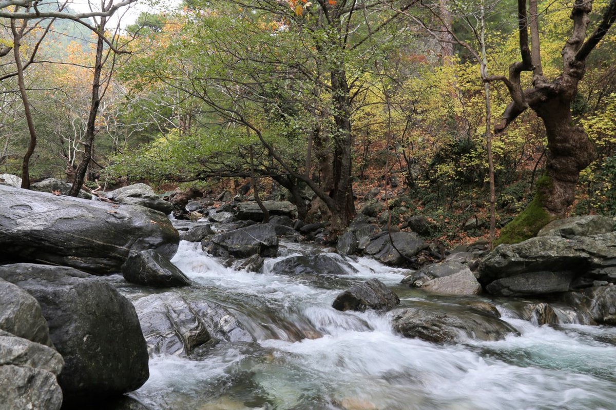 Edremit'te Hafta Sonu Keyfi: KazDağları'nda Doğa ile İç İçe Bir Kaçış