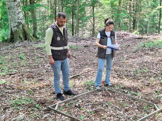 Balıkesir'de Gençlik Sahalarında Fidan Sayımı Olumlu Sonuçlandı