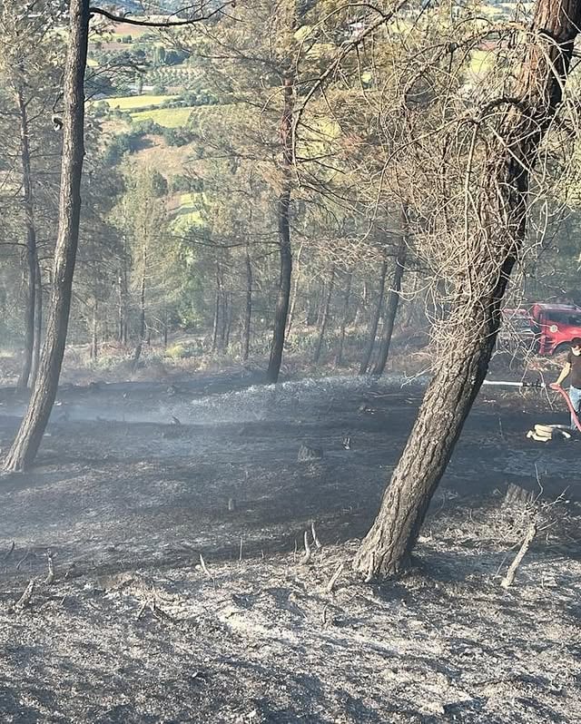 Balıkesir'de Orman Yangını Kontrol Altına Alınmaya Çalışılıyor