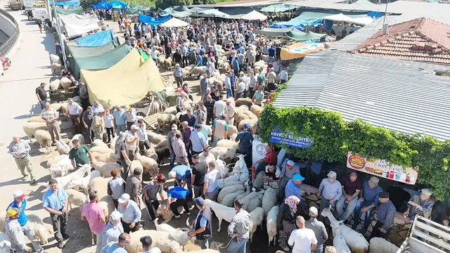 Havran Hayvan Pazarı'nda Kurban Bayramı Arefe Yoğunluğu