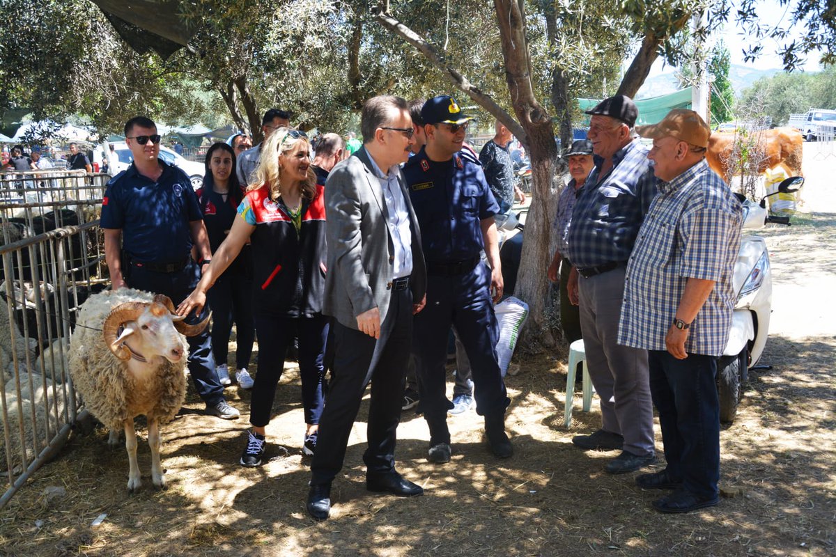 Edremit Kaymakamı Odabaş, Kurban Bayramı Öncesi Canlı Hayvan Pazarını İnceledi