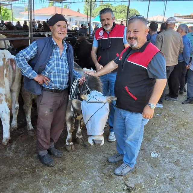 Havran'da Kurban Bayramı Öncesi Hayvan Pazarı Denetimleri Sürüyor