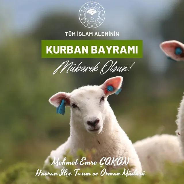 Havran'da Tarım Çalışmaları Devam Ediyor