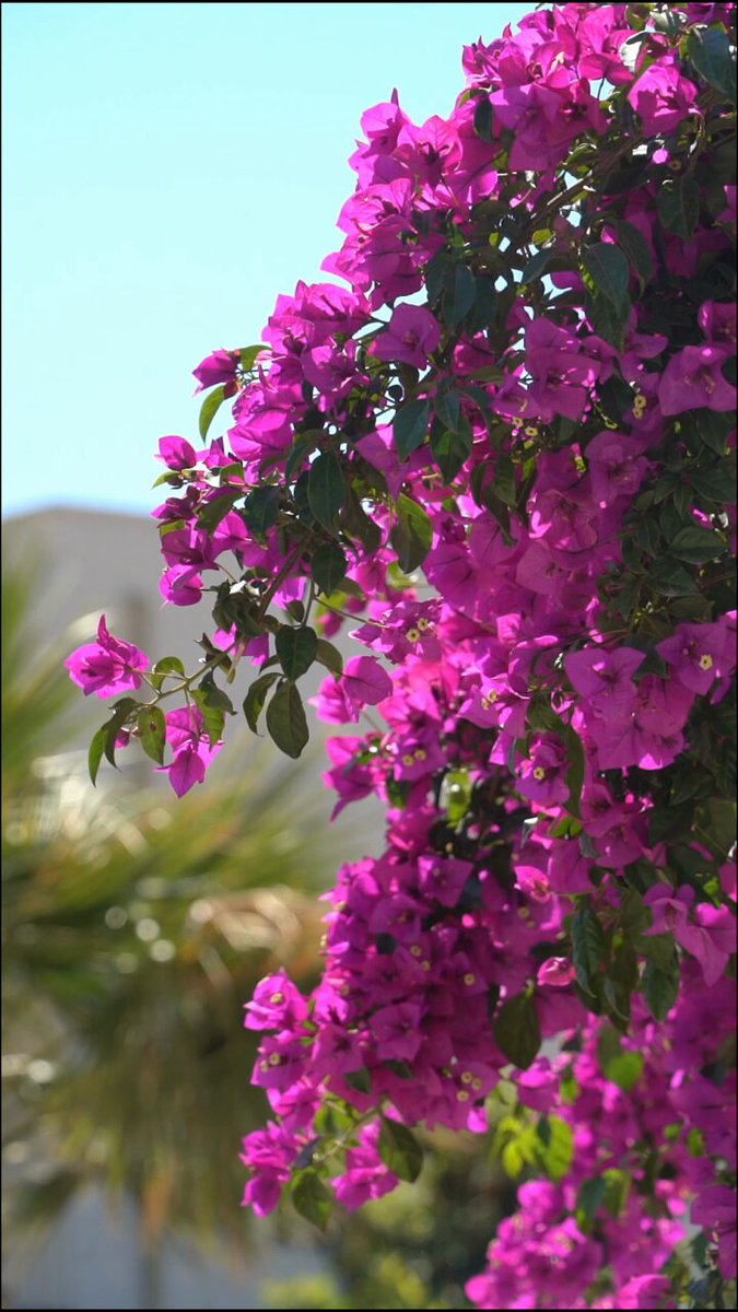 Edremit’te İlginç Buluntular: Tarihi Eserler Kadınların Hayatına Dokundu