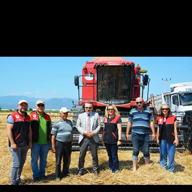 Edremit'te Buğday Hasadı Başladı: Kaymakam Odabaş Tarlaları İnceledi