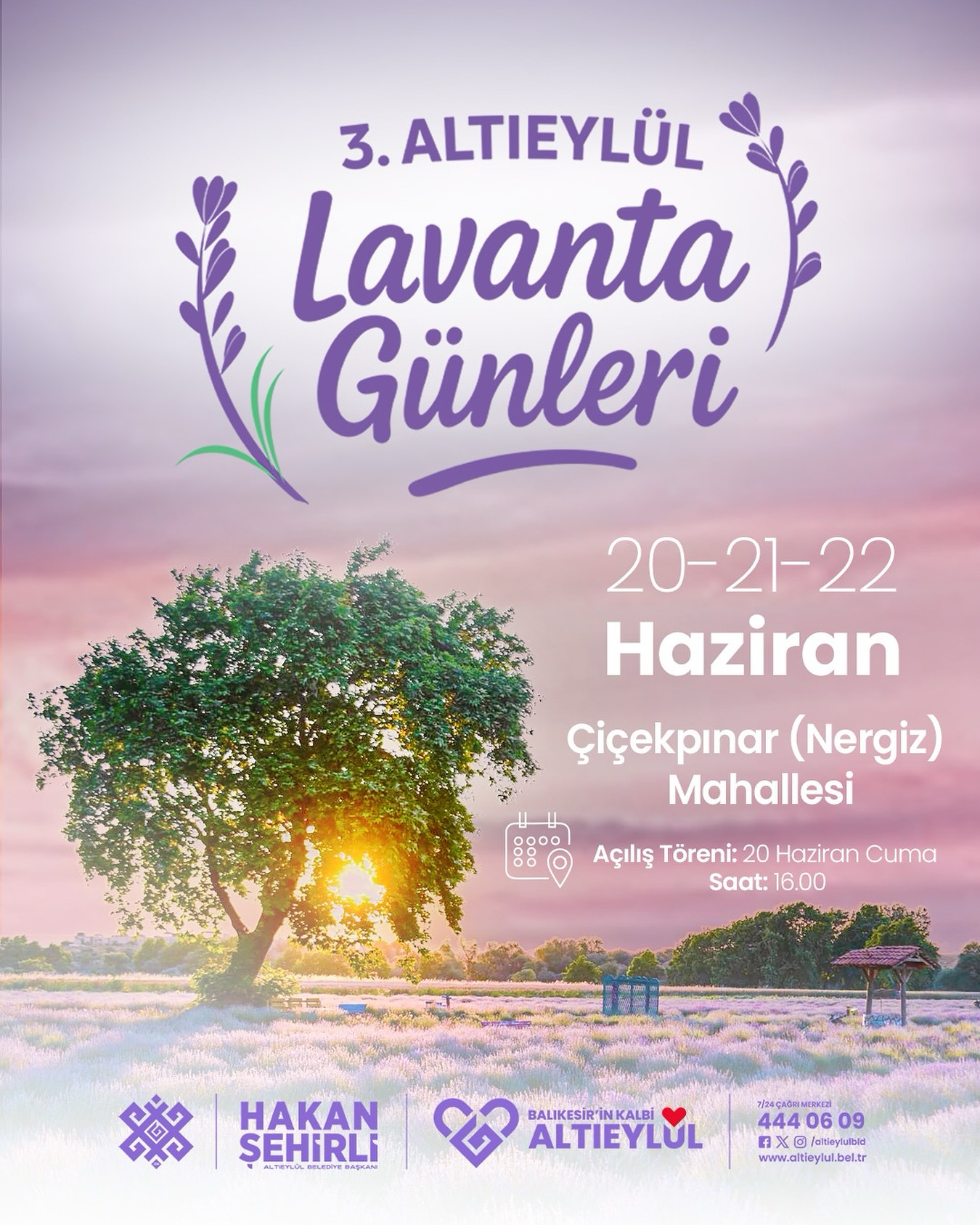 Altıeylül Lavanta Günleri Başladı: Ne Zaman, Nerede?
