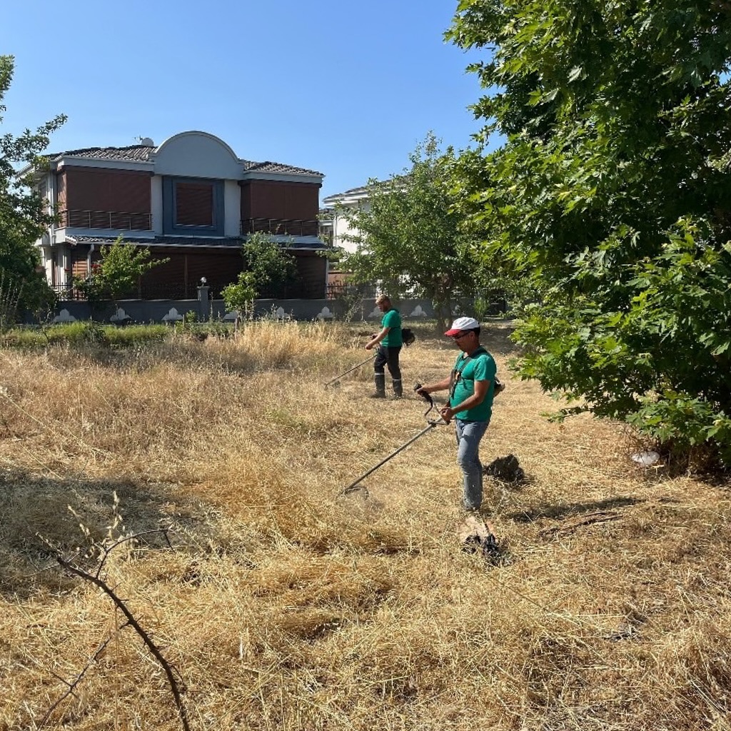 Ayvalık Belediyesi Park ve Bahçeler Ekipleri Kentte Yeşil Alan Bakımını Aralıksız Sürdürüyor