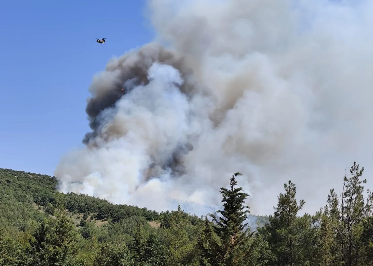 Balıkesir Kepsut'ta Orman ve Tarım Arazisi Yangınlarına Hızlı Müdahale