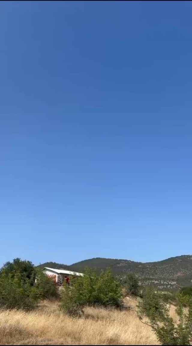 Balıkesir Kepsut'ta Orman Yangınına Hızlı Müdahale