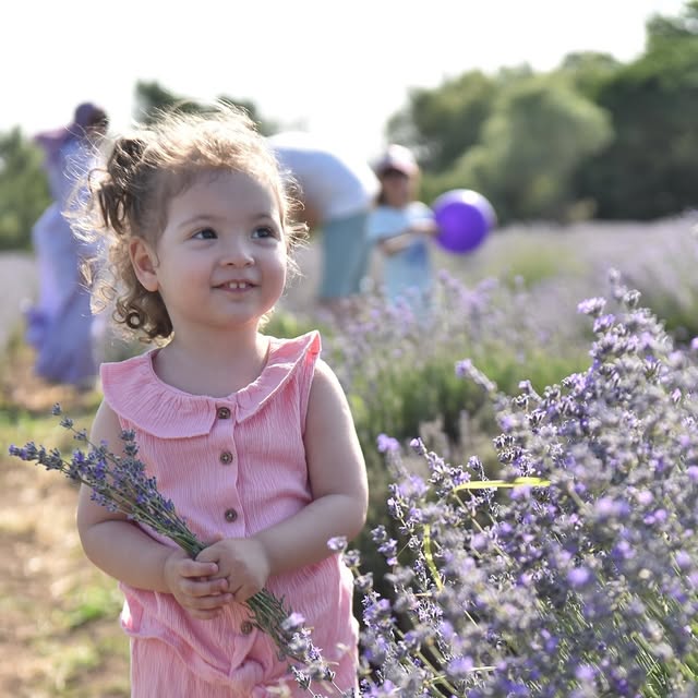 Altıeylül'de Lavanta Kokuları Arasında Huzur Buluşmaları