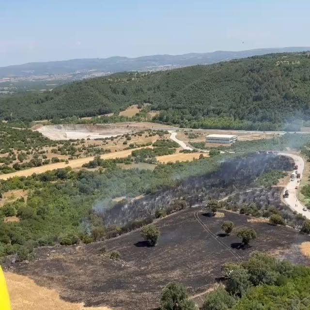 Balıkesir'de Orman Yangını Kontrol Altına Alındı