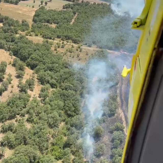 Balıkesir İvrindi'de Orman Yangını Kontrol Altına Alınmaya Çalışılıyor