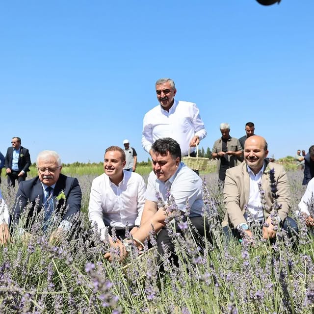 Balıkesir’de Uluslararası Aromaterapi Festivali Başlıyor: İlk Hasat Gerçekleştirildi