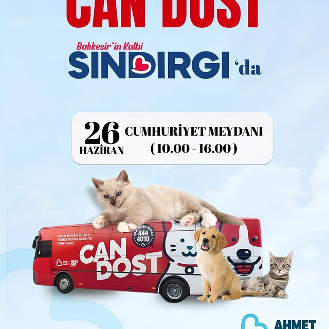 Sındırgı'da Sokak Hayvanlarına Ücretsiz Aşı ve Tedavi Hizmeti