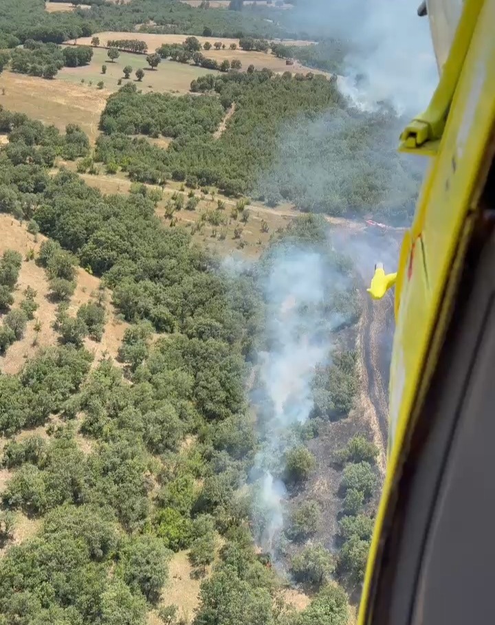 Balıkesir İvrindi'de Orman Yangını Kontrol Altına Alınmaya Çalışılıyor