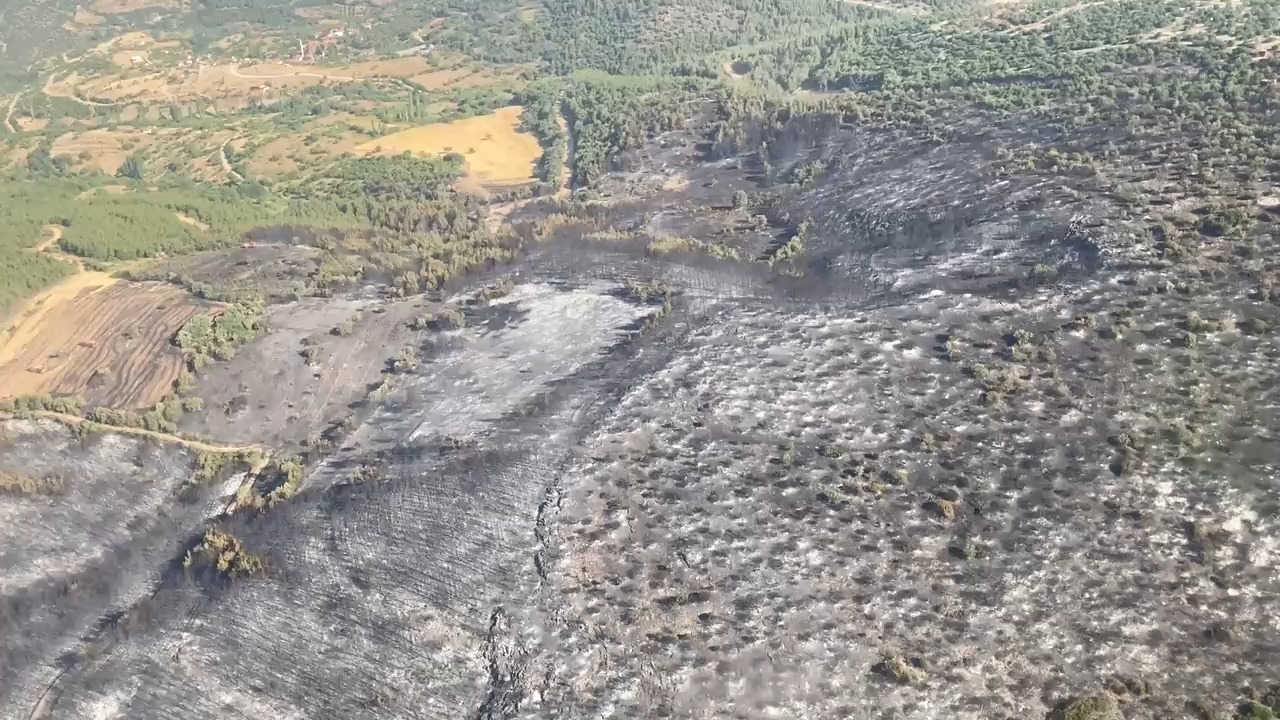 Balıkesir'de Orman Yangınları Kontrol Altına Alındı