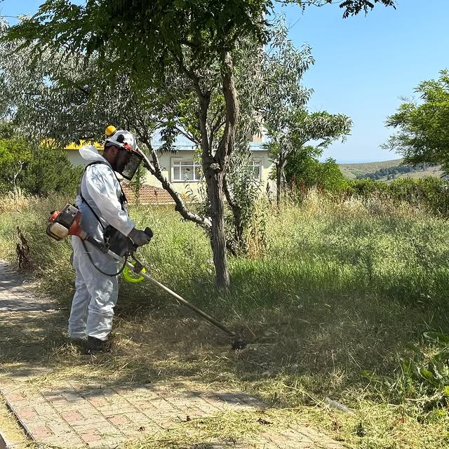 Bandırma'da Yazla Birlikte Yeşil Alan ve Çevre Sağlığı Çalışmaları Hız Kazandı