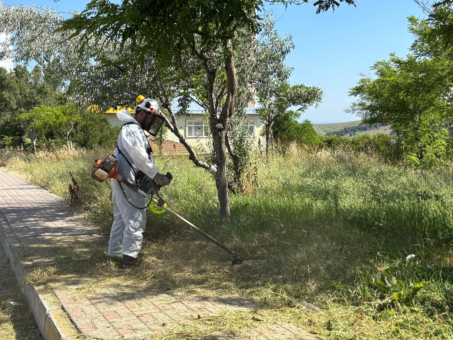 Bandırma'da Yaz Bakımı Yoğunluğu: Yeşil Alanlar ve İlaçlama Çalışmaları Sürüyor